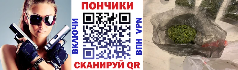 Шишки марихуана план  магазин продажи наркотиков  Котовск 
